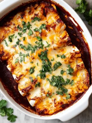 Chicken Enchiladas Recipe
