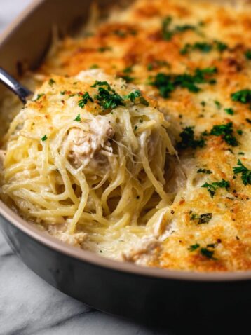 Chicken Tetrazzini Bake Recipe