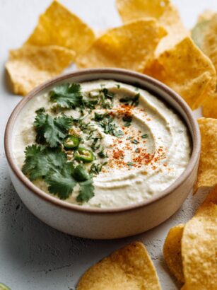 Trader Joe's Cashew Fiesta Dip Recipe