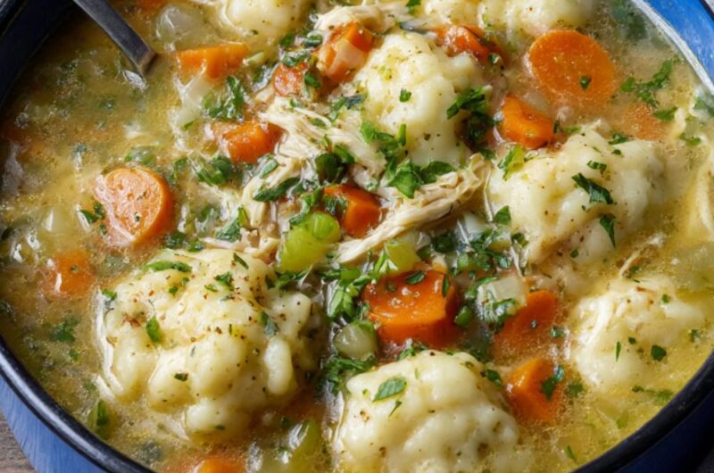 Trader Joe's Chicken Dumpling Soup Recipe