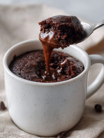 Chocolate Cake in a Mug Recipe