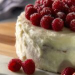 Vanilla Cranberry Can Cakes Recipe
