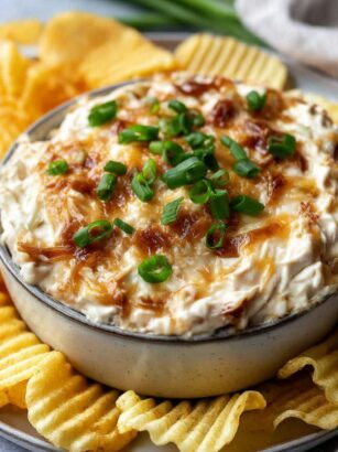 Trader Joe's Caramelized Onion Dip Recipe