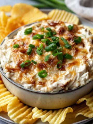 Trader Joe's Caramelized Onion Dip Recipe