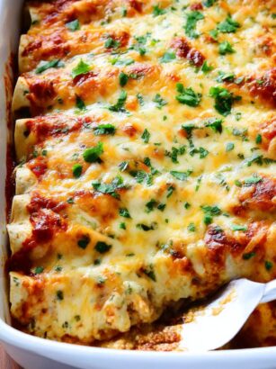 Trader Joe's Chicken Enchiladas Recipe