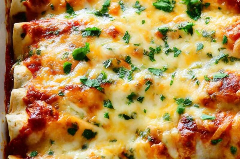 Trader Joe's Chicken Enchiladas Recipe