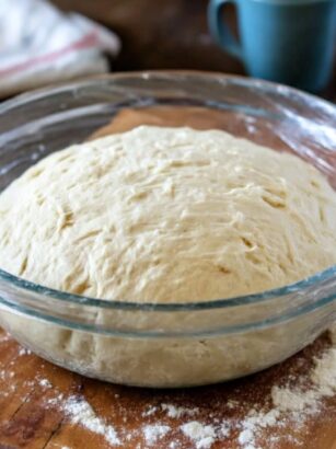 Trader Joe's Pizza Dough Recipe