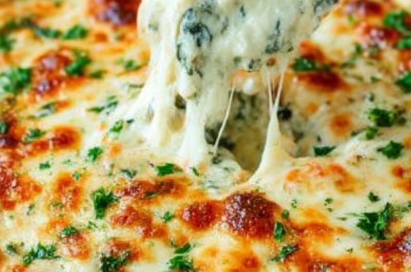 Trader Joe's Spinach Dip Recipe