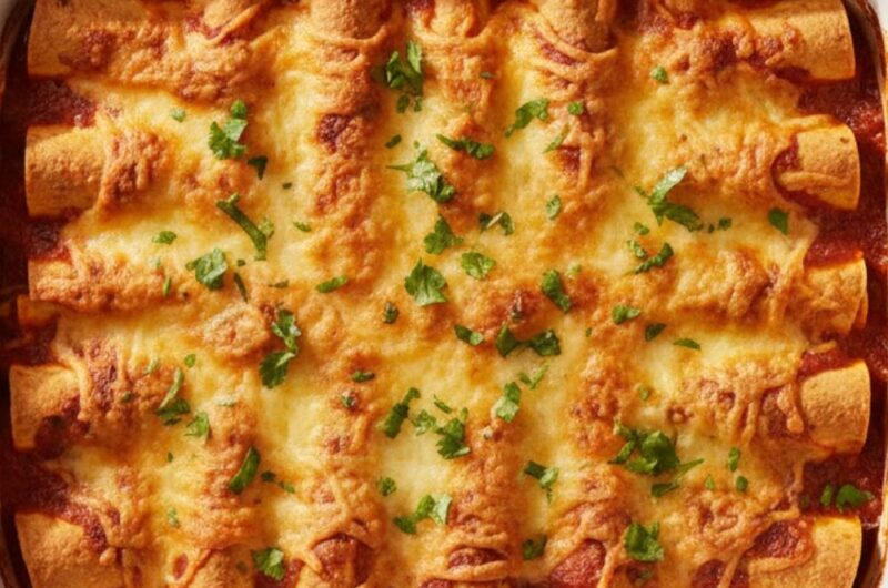 Chipotle Chicken Enchiladas Recipe