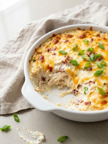 Trader Joes Chicken Bacon Ranch Dip Recipe