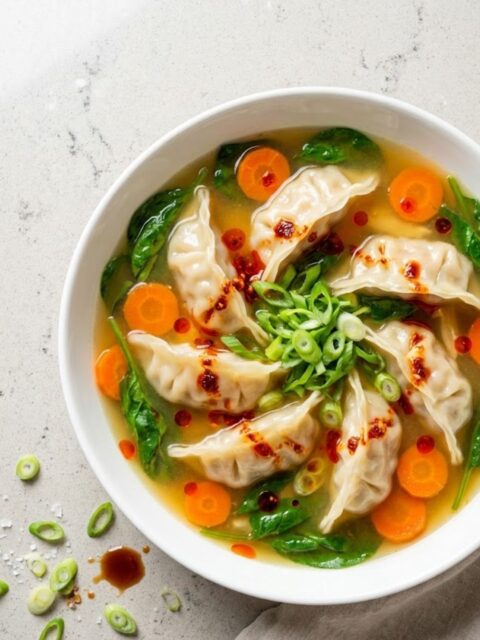 Trader Joes Chicken Dumpling Soup Recipe